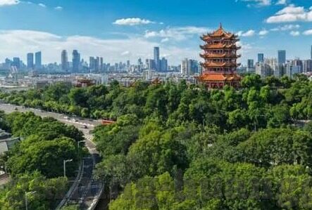 足球比分法乙-法乙风云，比分背后的激情与策略，揭秘法国次级联赛的独特魅力